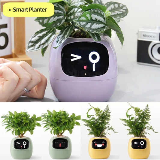 PlantBuddy™ Smart Planter