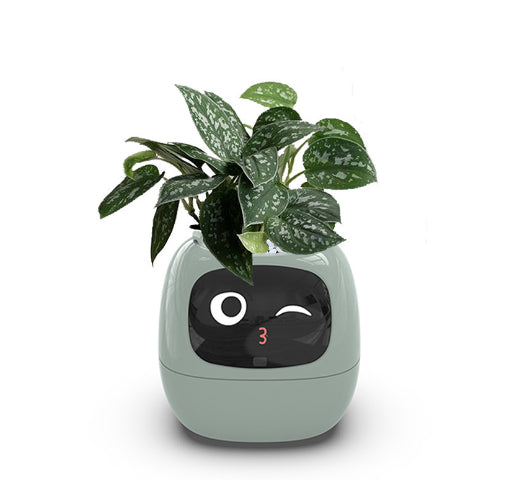 PlantBuddy™ Smart Planter
